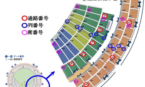 香桔是什么-香桔颗粒的功效与作用及禁忌-专业香桔片是治什么的平台-香橘作用与功效